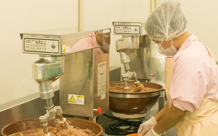 年齢や人種を越えて作業するおさかな研究会のメンバー