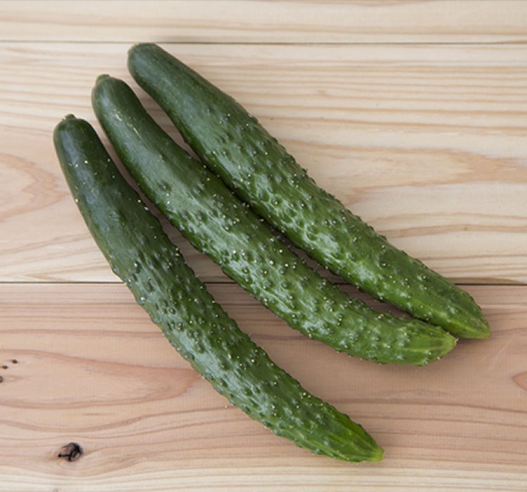 キュウリ
