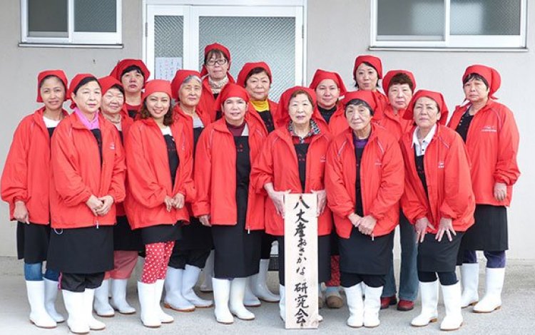 八丈島から日本の漁業の未来を見据え、活動する女性達