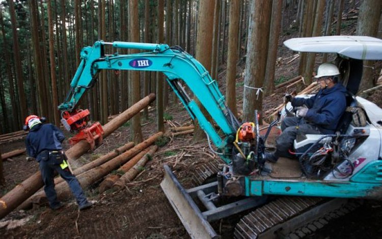 林業家・中島さん親子の1日