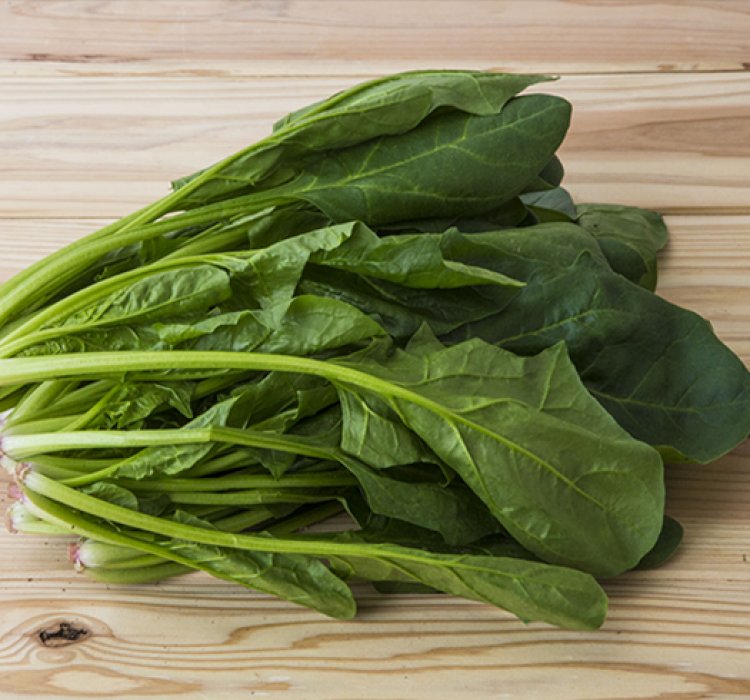 ホウレンソウ