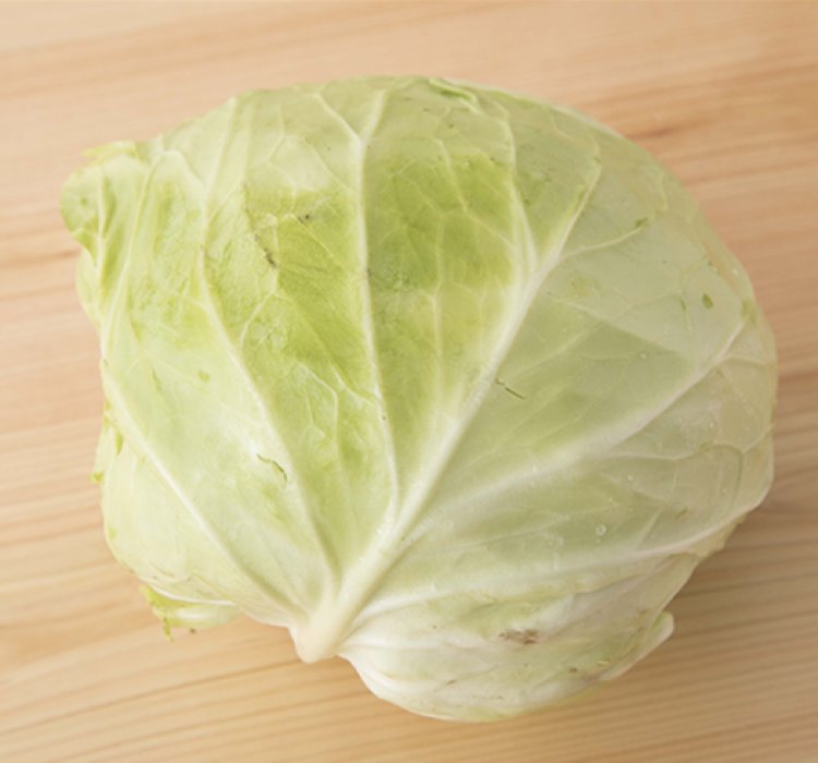 キャベツ