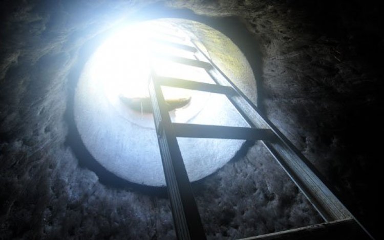 東京ウドの育つ環境は年間を通じて一定温度