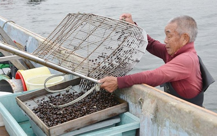 後輩たちに技術や知識を伝授する仕事