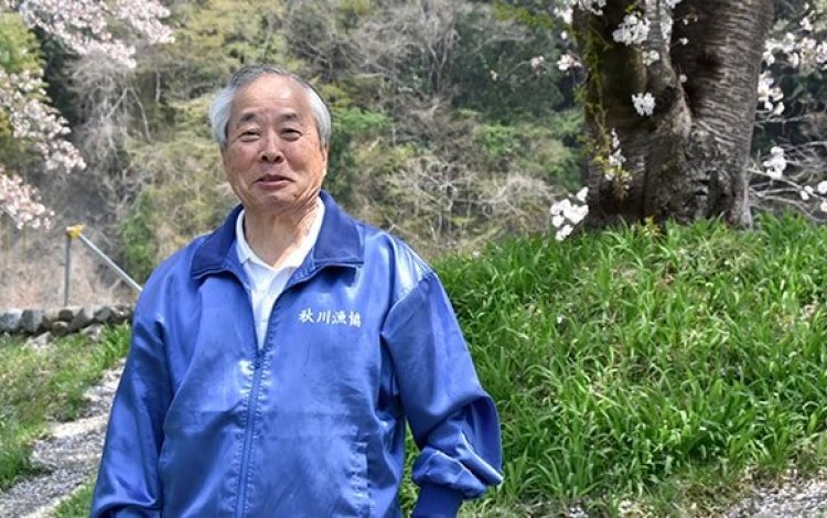 蘇った美しい秋川の風景