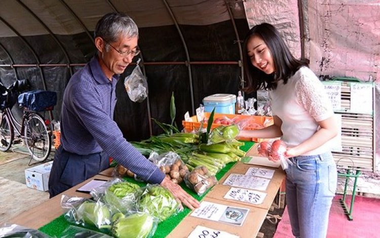 安全・安心でおいしい野菜の収穫をお手伝い
