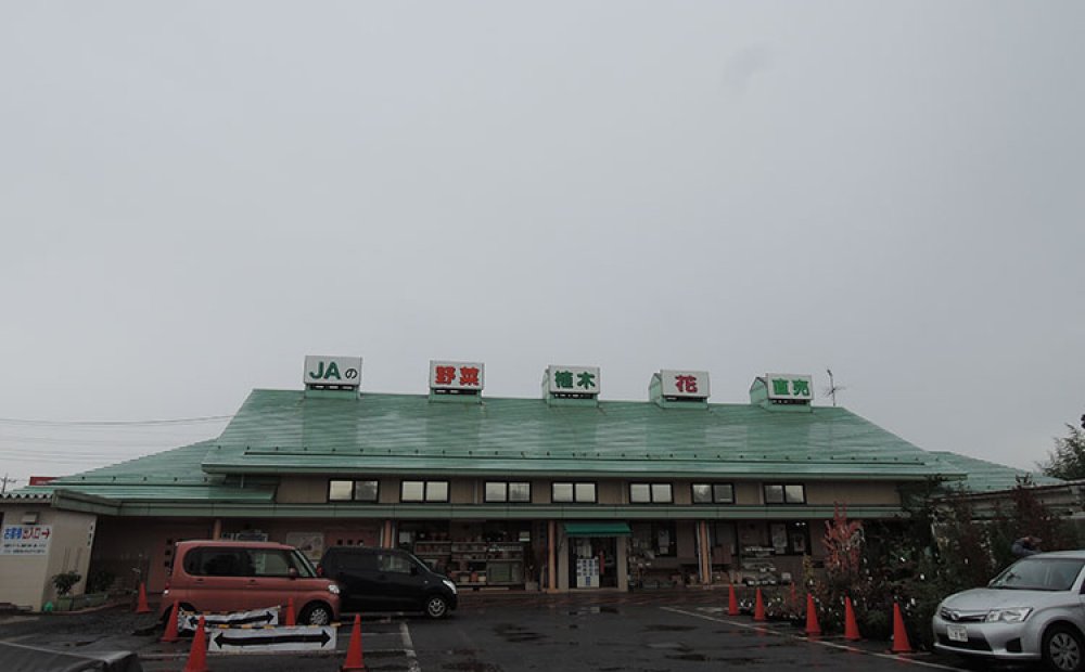 5つのトップライトが目印