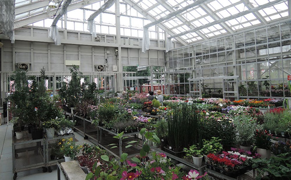 まるで温室にいるような店内