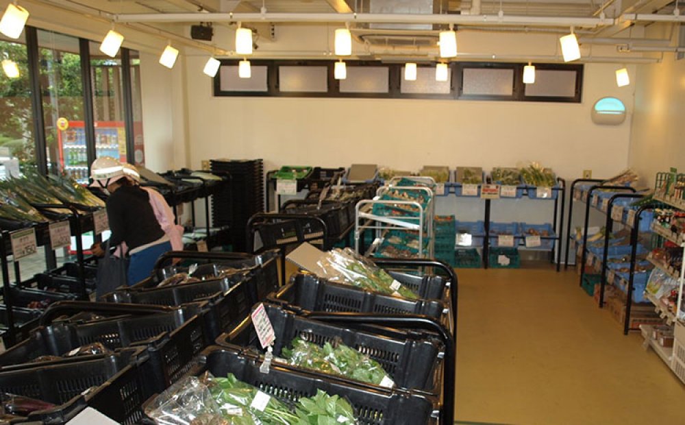 「せたがやそだち」の野菜が揃う