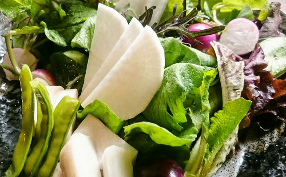 八王子野菜の採り直サラダ