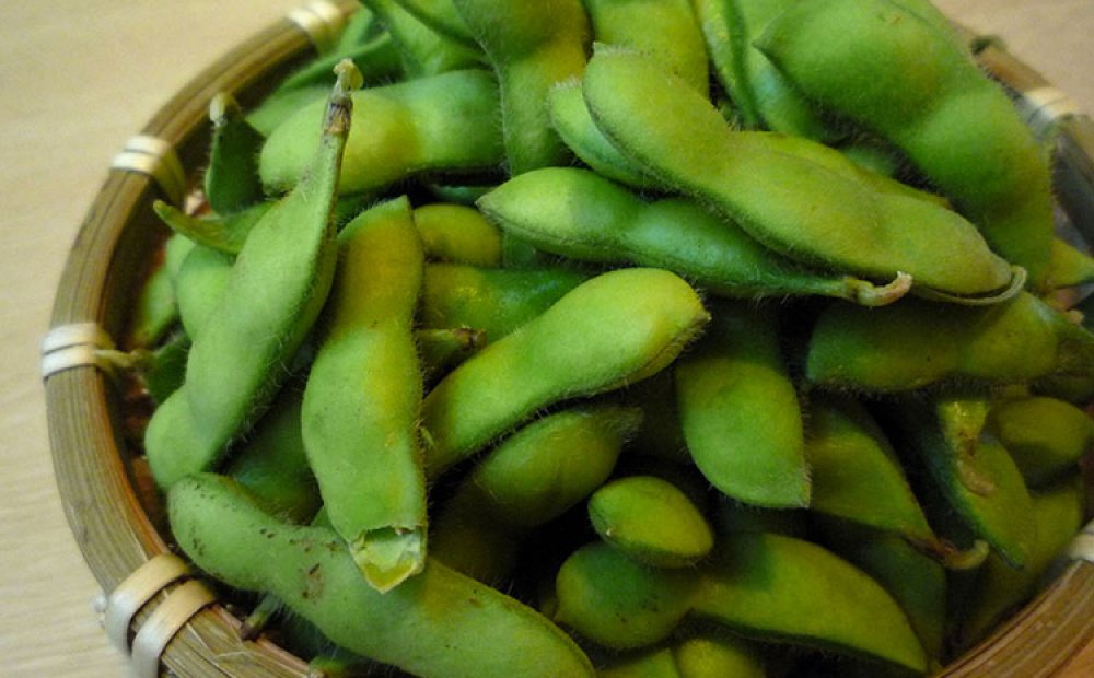 狛江産のエダマメ