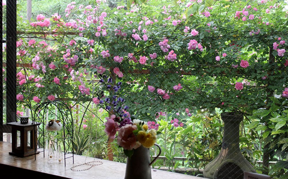 四季折々の花が咲く