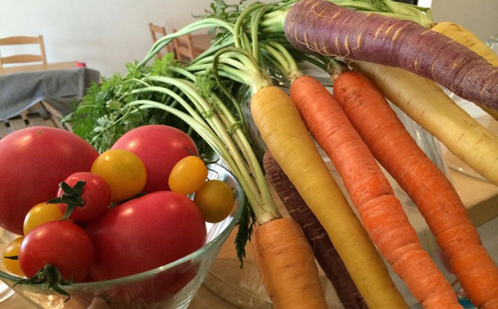 本日のくにたち野菜サラダ