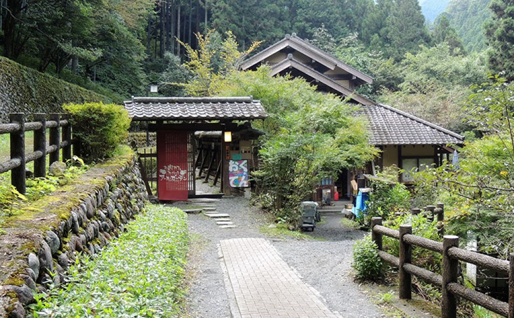 緑に囲まれた静かな食事処