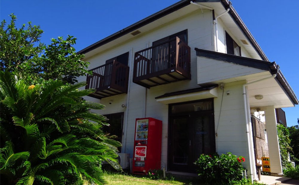 宿の周辺は野鳥の宝庫