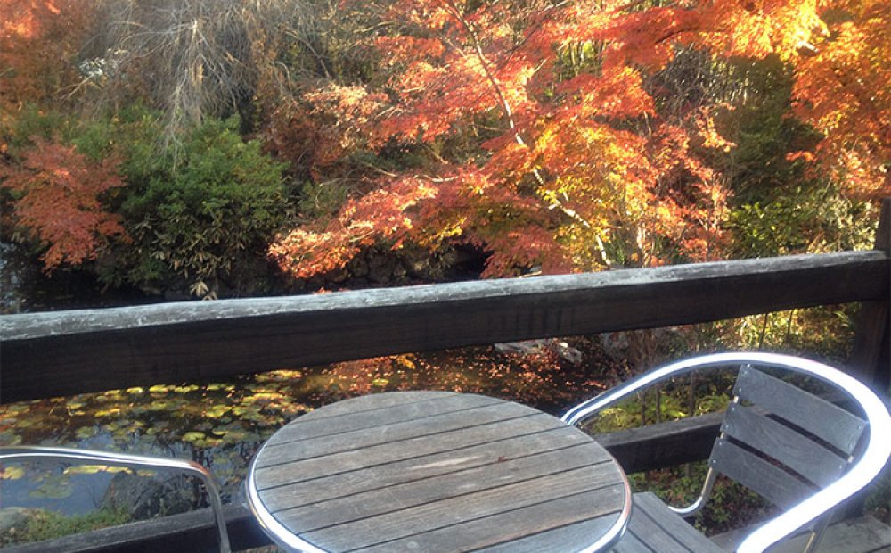 桜、新緑、紅葉が楽しめるテラス席