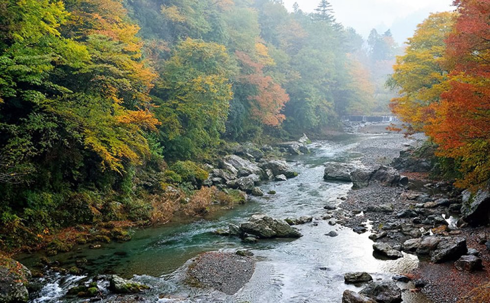 四季折々に美しい庭からの眺め