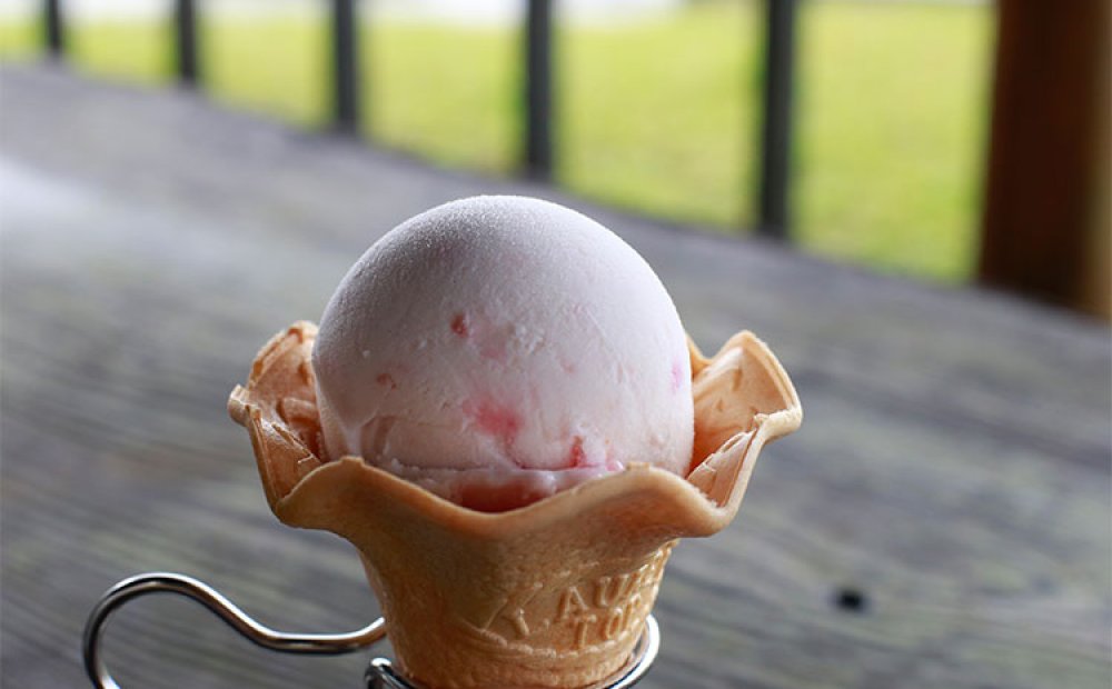 椿花ビラジャムのジェラート220円