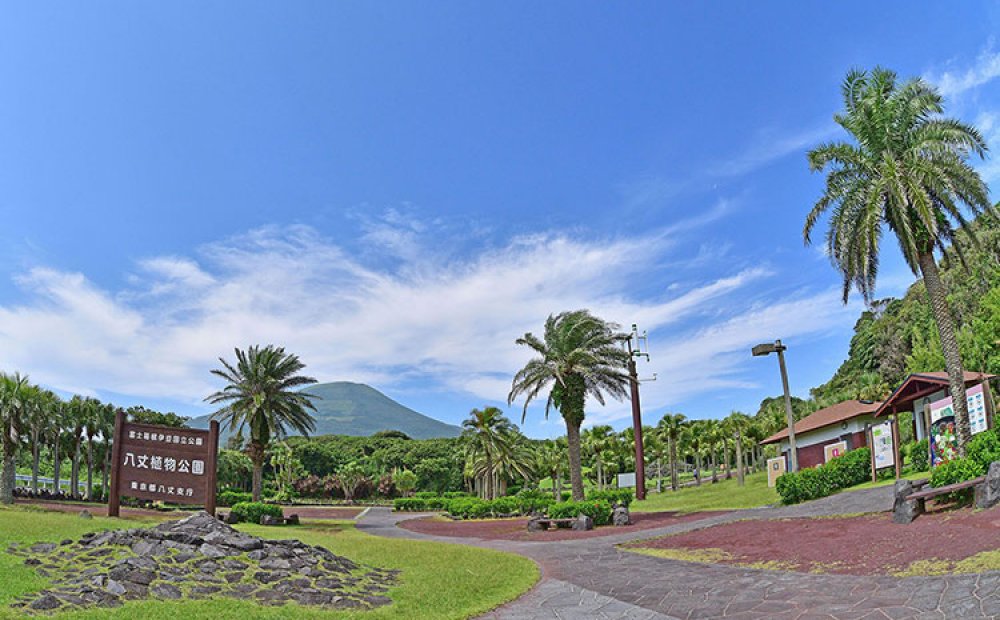 南国ムードたっぷりの正面入口