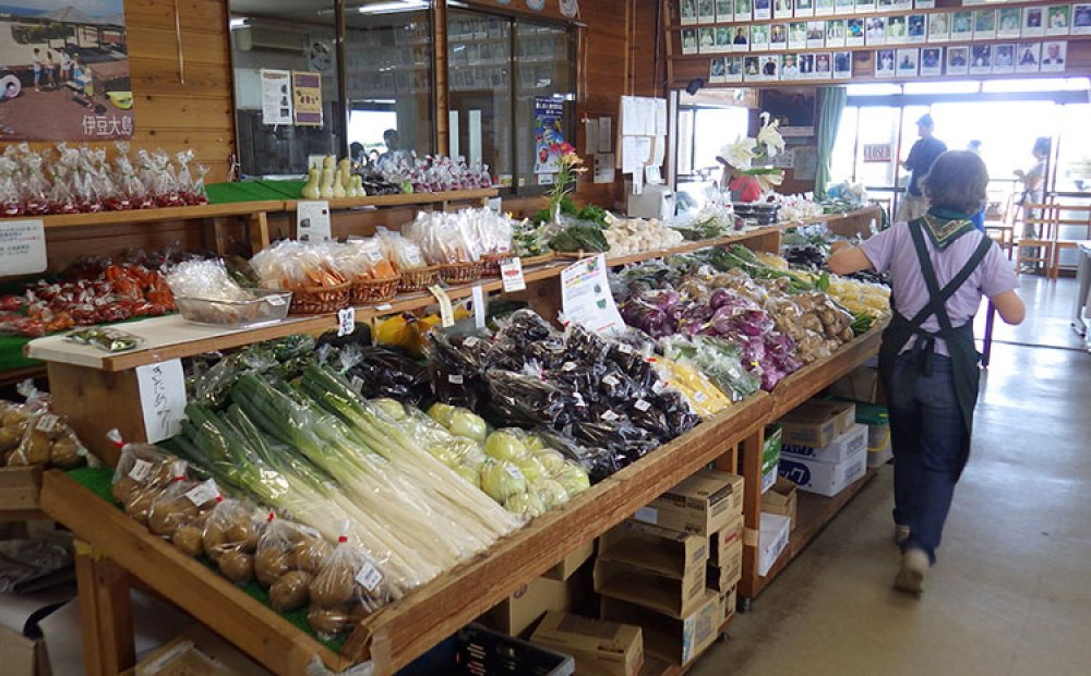 朝採れの新鮮な野菜がいっぱい