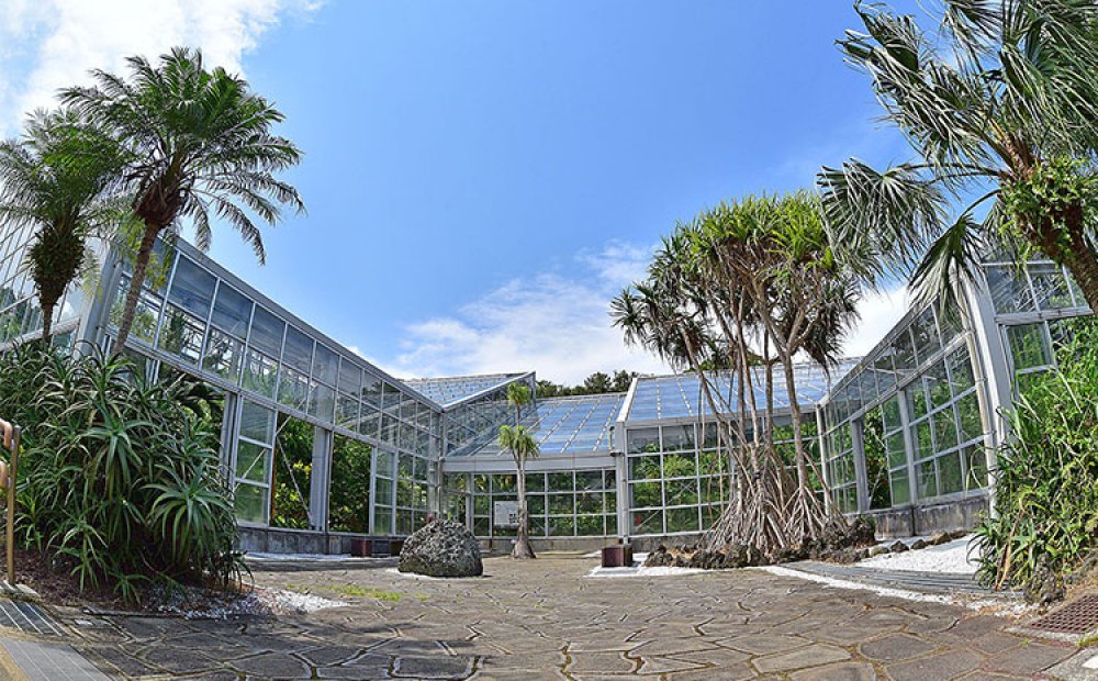 熱帯の果樹や花が見られる温室