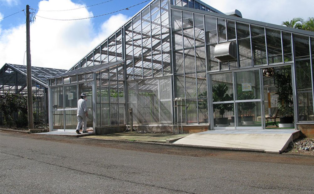 熱帯果樹の展示ハウス