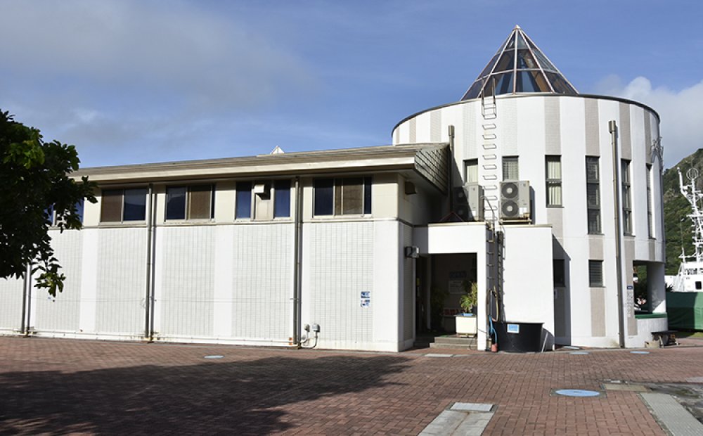 屋外にも水槽がある