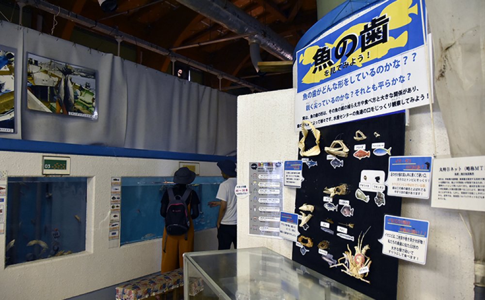 小笠原の魚介類についての解説も(0207-03F.jpg)