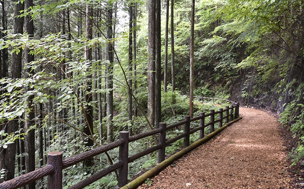 コースにはウッドチップが敷かれている