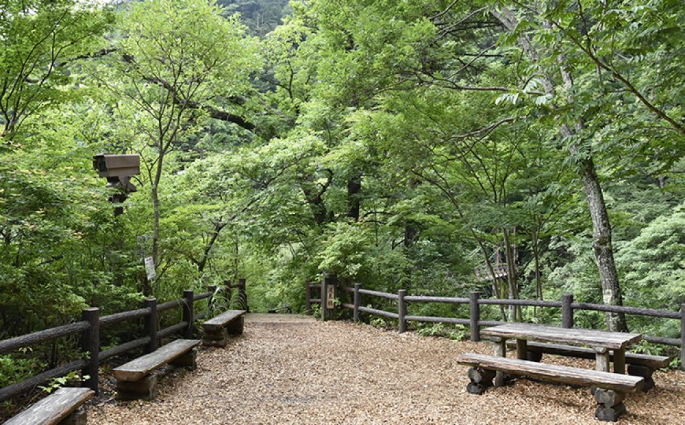 コース中間地点にはあずま家も