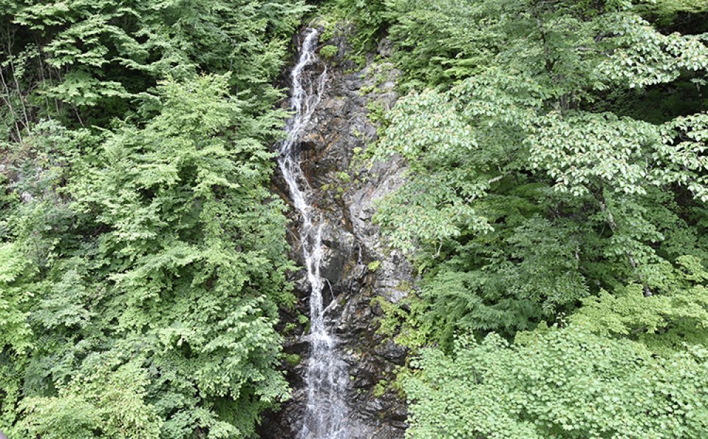 可憐な滝は橋の上から見学できる