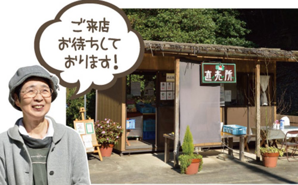 こだわりのプリンはぜひ味わいたい