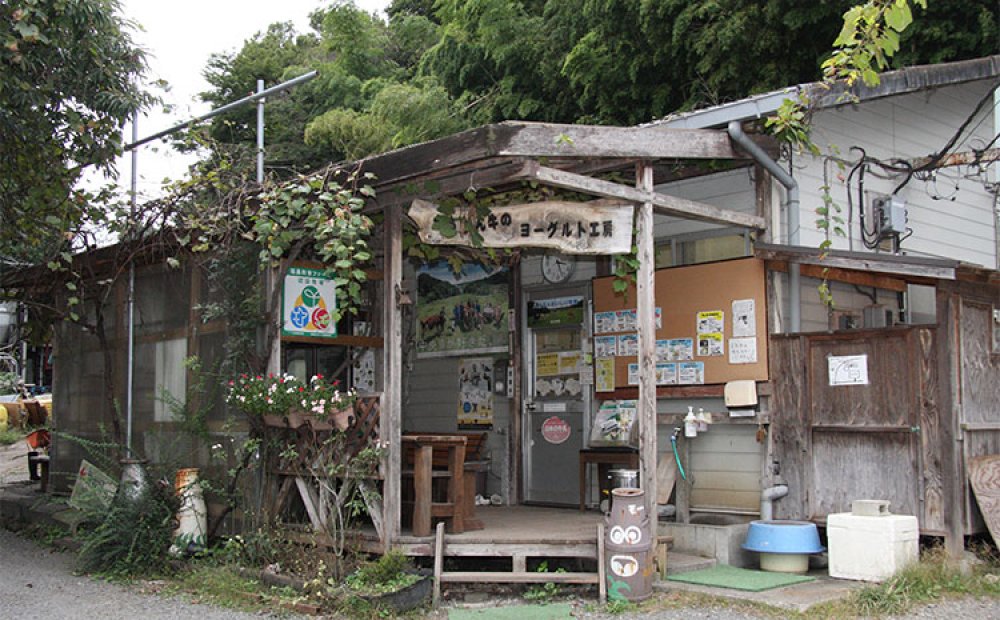 新鮮な牛乳のヨーグルトも