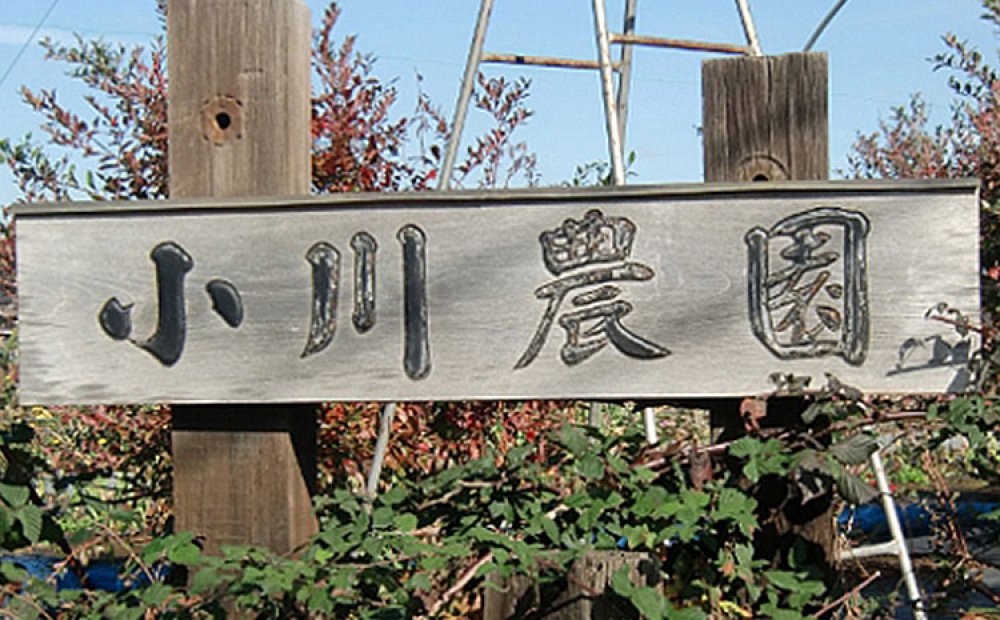 この看板が目印