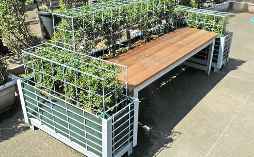 みどりのベンチ