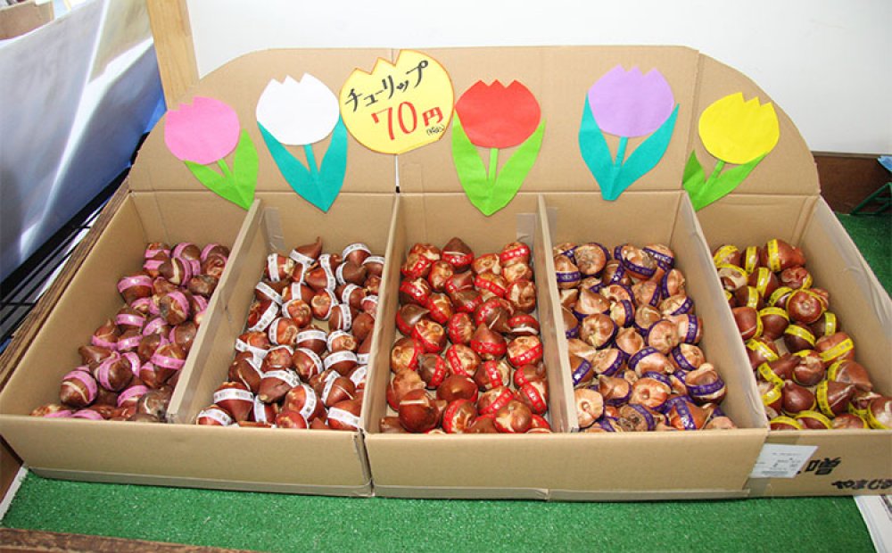 球根など園芸用品も多彩に揃う