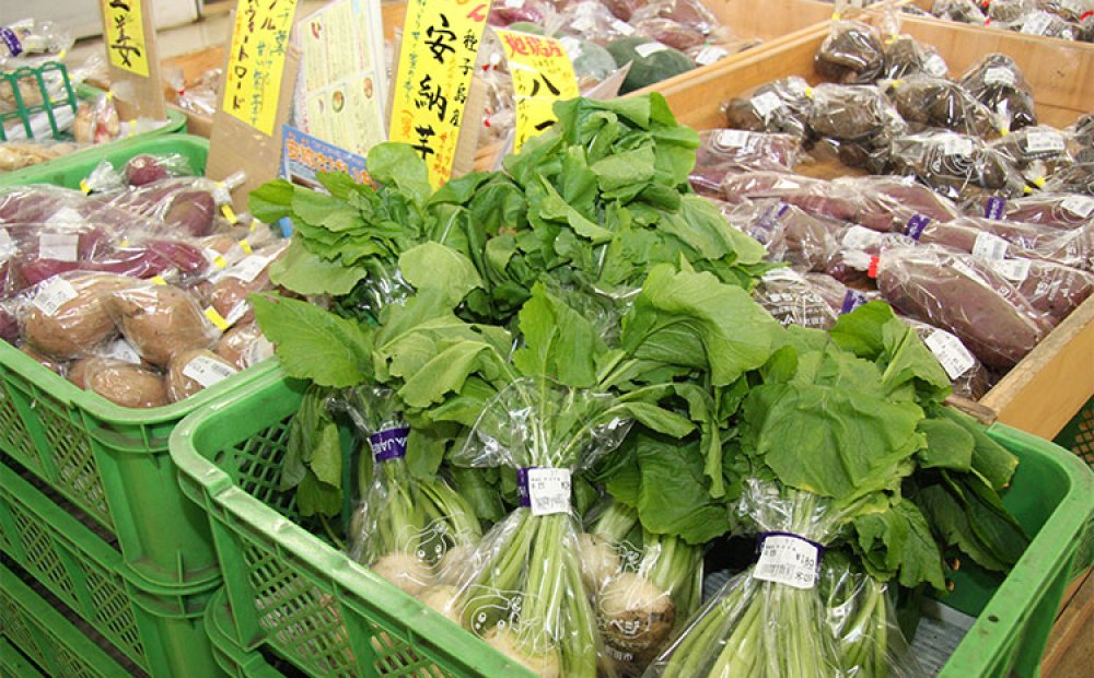 毎日農家が持ち込む野菜が人気