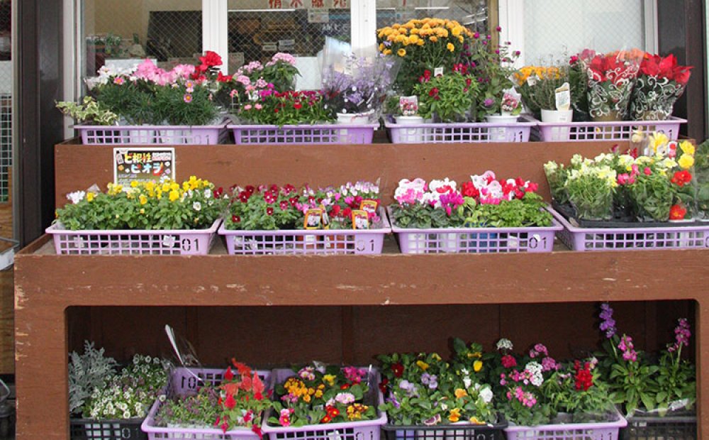 季節を彩る花苗も