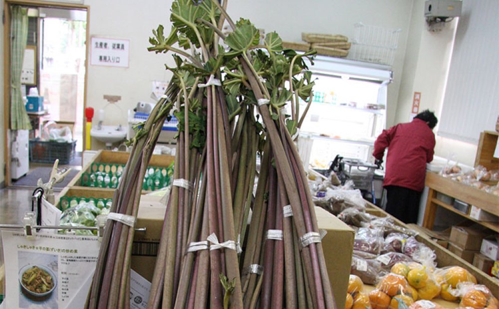 芋がらとも呼ばれるズイキ