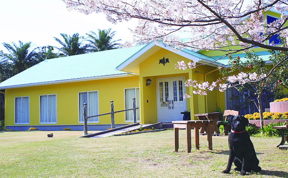 洋室4室と和室2室の宿