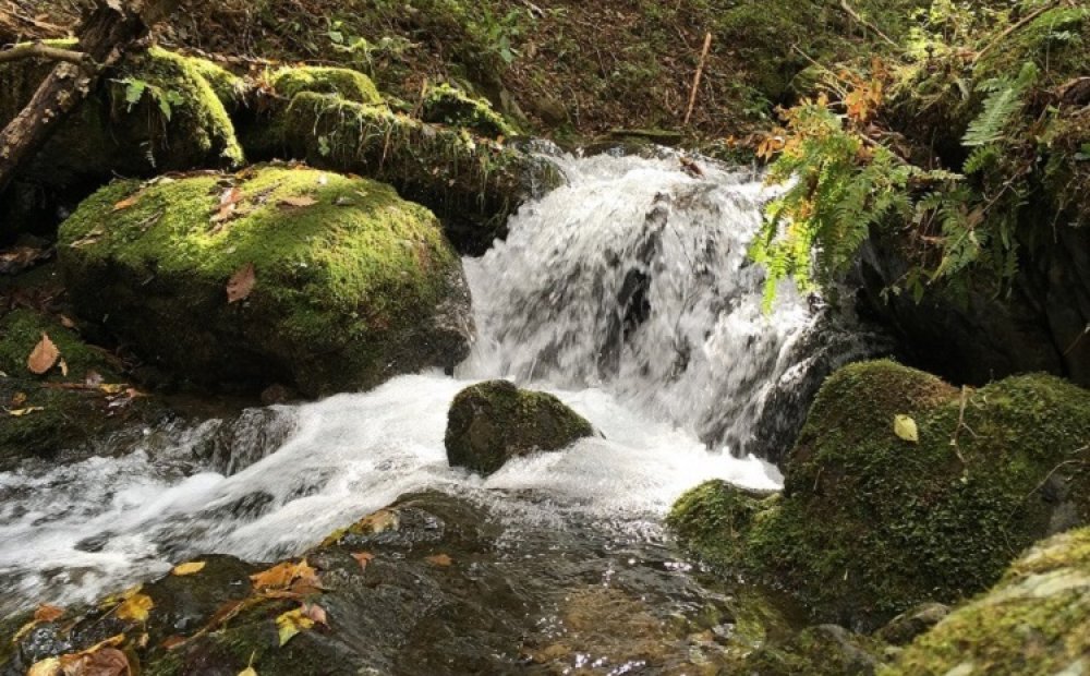 岩と清流のロックガーデン