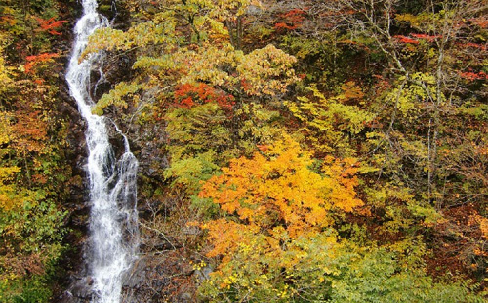 紅葉に映える一筋の美しい滝