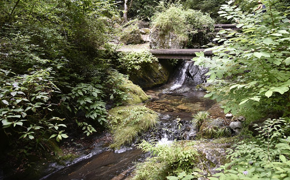コースのあちこちで清流に出合える