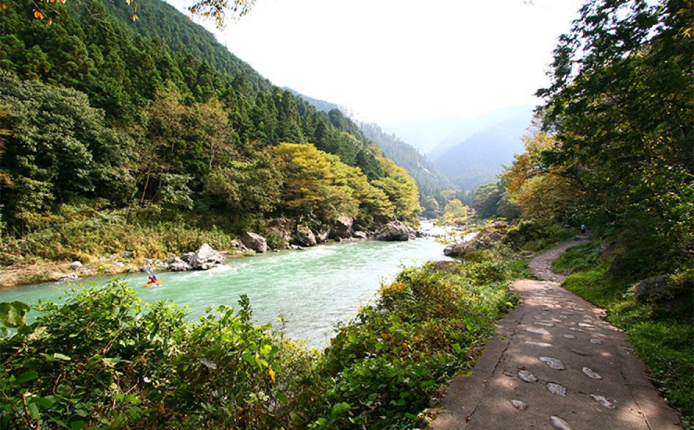 家族連れも楽しめる遊歩道