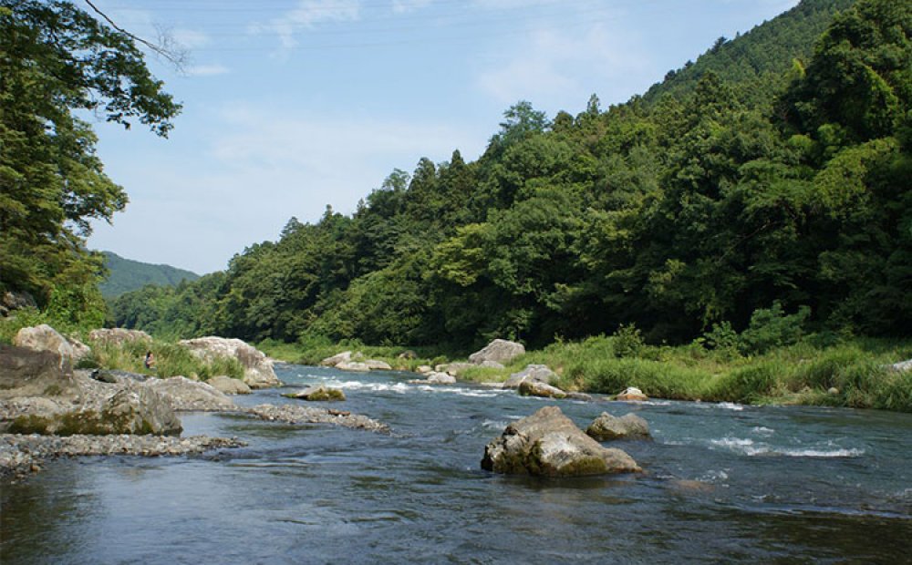 渓谷の美しさを間近で見られる