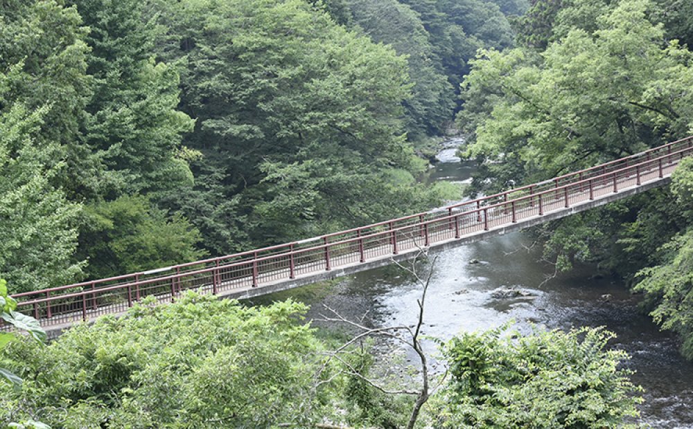 のんびり散策を楽しみたい歩行者専用の石舟橋