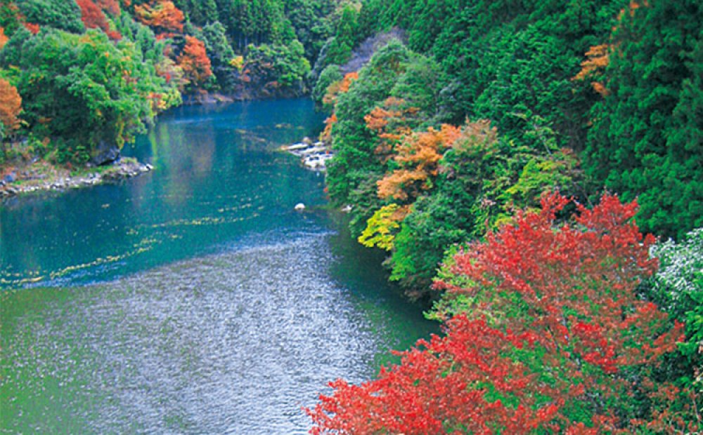 秋には美しい紅葉が楽しめる