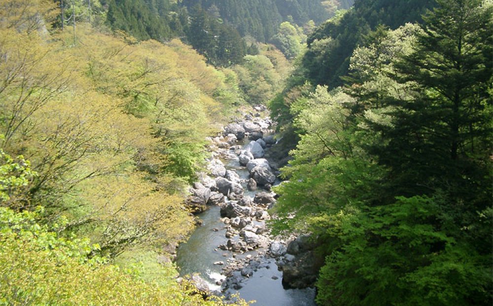 巨岩と清流が織りなす惣岳渓谷