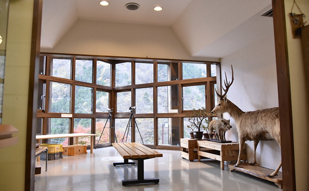 自然と巨樹の魅力が学べる