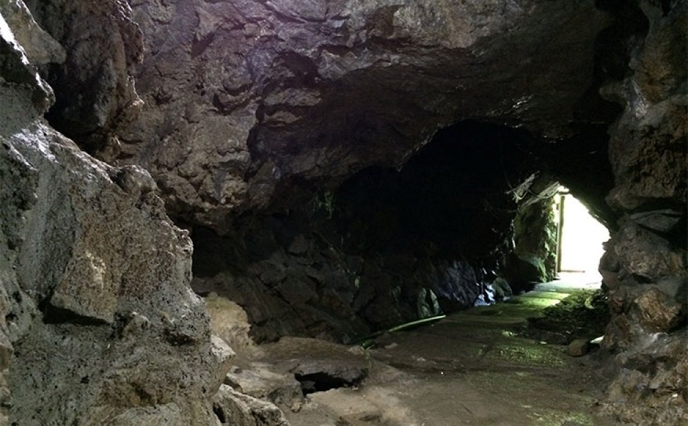 狭くて暗い洞窟を探検できる